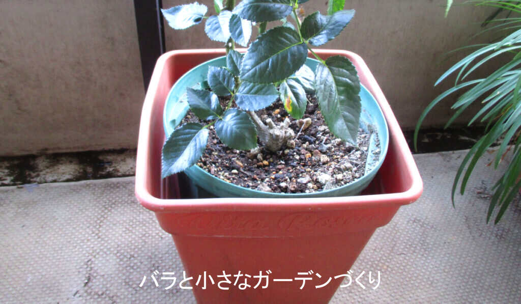 二重鉢