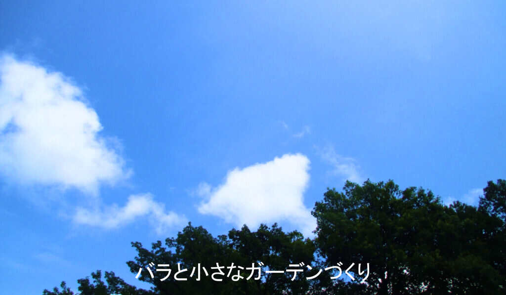 夏の空