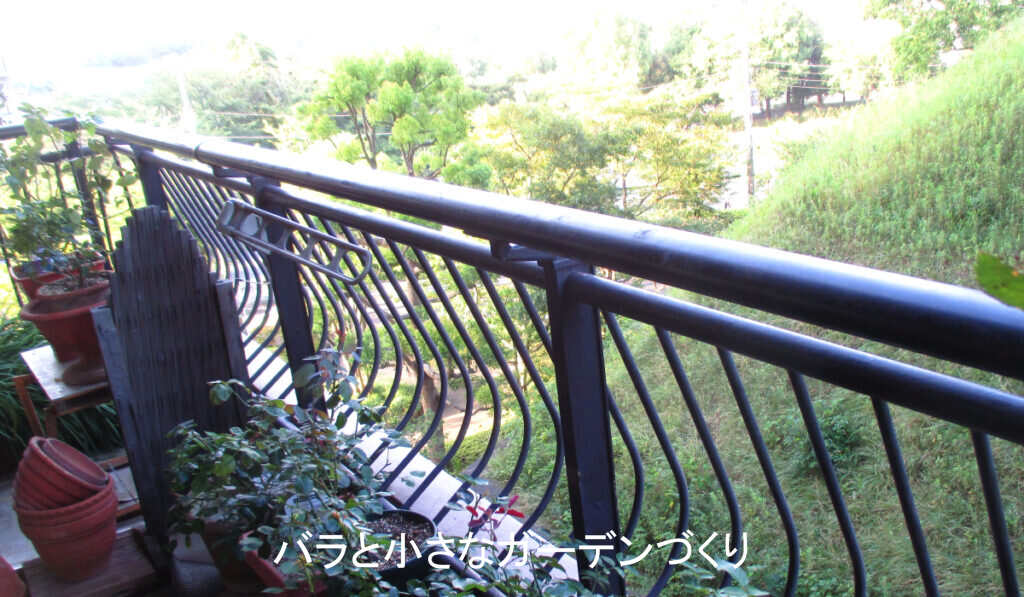 夏のベランダ
