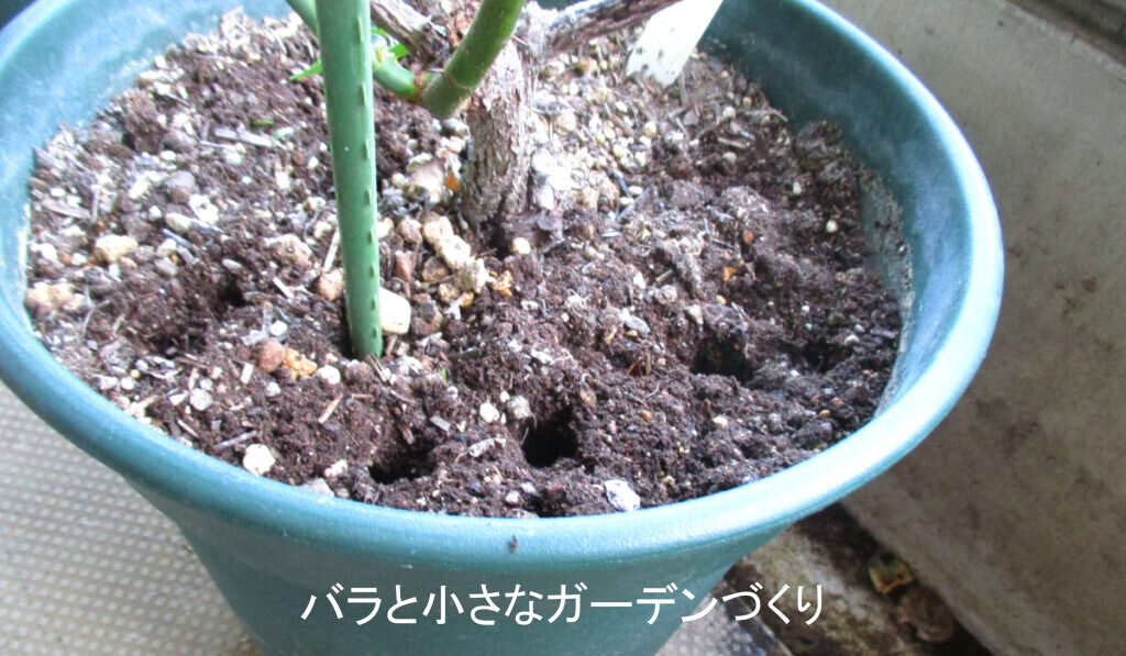 エアレーション