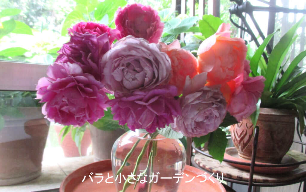 夏花アレンジ